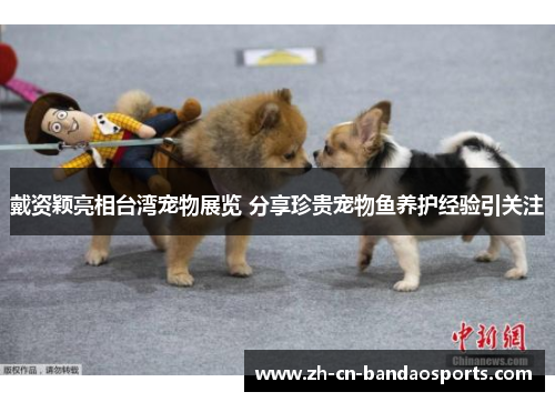 戴资颖亮相台湾宠物展览 分享珍贵宠物鱼养护经验引关注
